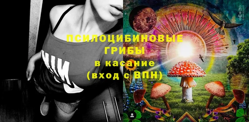 Псилоцибиновые грибы Psilocybe  блэк спрут ссылки  Топки  сколько стоит 